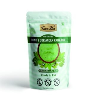 PUDINA DHANIYA WATER 100GM, topdesimart, top desi mart