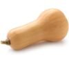 BUTTERNUT SQUASH PER LB, topdesimart, top desi mart