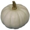 WHITE PUMPKIN CUT PER LB, topdesimart, top desi mart