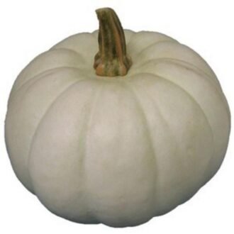 WHITE PUMPKIN CUT PER LB, topdesimart, top desi mart