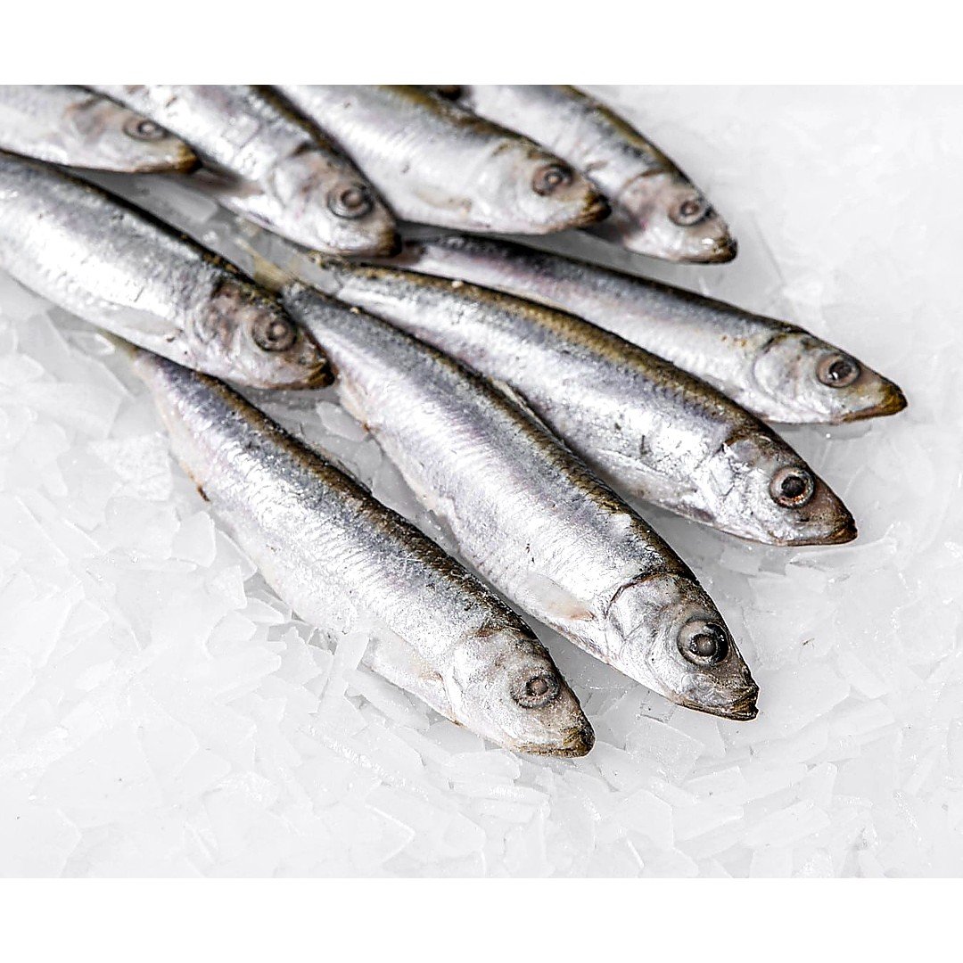 LF SARDINA 800G, topdesimart, top desi mart