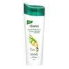 HIMALAYA DR PRTN SHAMPOO 400ML, topdesimart, top desi mart