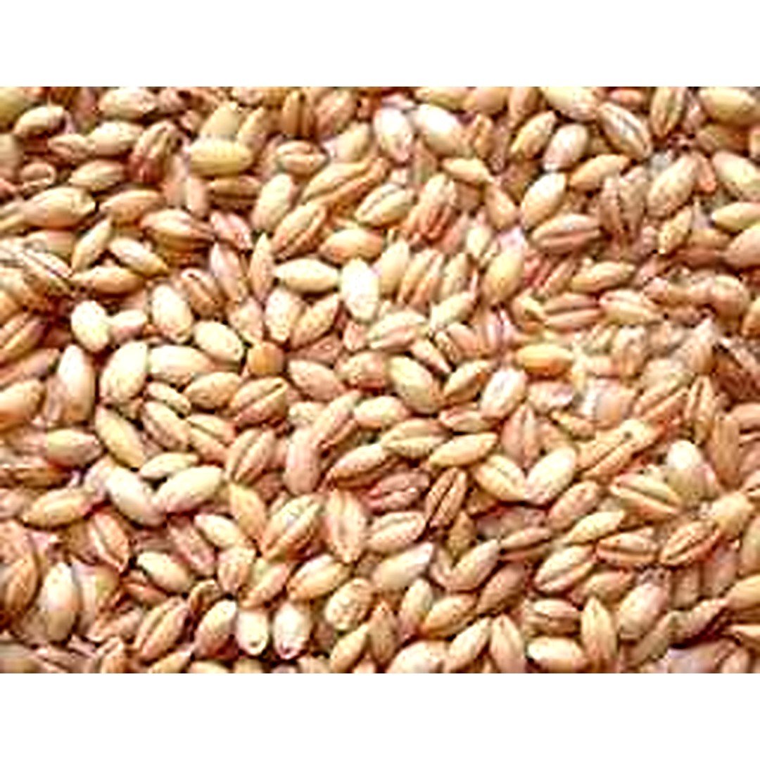 SPICY WORLD HALEEM WHEAT 2LB, topdesimart, top desi mart