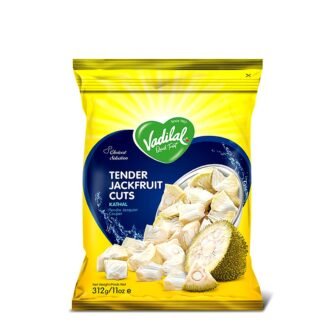 VADILAL JACKFRUIT ICECREAM 100ML, topdesimart, top desi mart