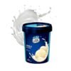 VADILAL VANILA ICECREAM 500ML, topdesimart, top desi mart