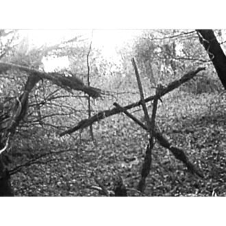 WOODS 84 STICKS, topdesimart, top desi mart