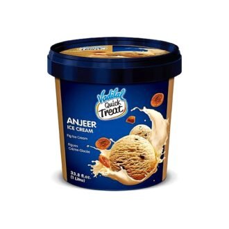 VADILAL ANJEER ICECREAM 1L, topdesimart, top desi mart