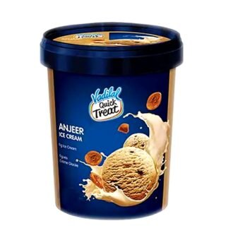 VADILAL ANJEER ICECREAM 500ML, topdesimart, top desi mart