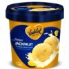 VADILAL JACKFRUIT ICE CREAM 500ML, topdesimart, top desi mart