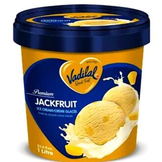 VADILAL JACKFRUIT ICE CREAM 500ML, topdesimart, top desi mart