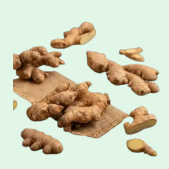 Organics & Hydroponics