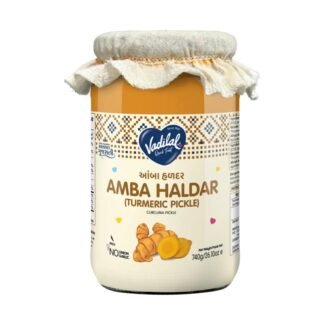 VADILAL AMBA HALDAR PICKLE 740G, topdesimart, top desi mart