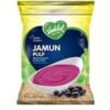 VADILAL JAMUN PULP 800G, topdesimart, top desi mart