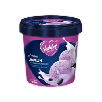VADILAL JAMUN ICE CREAM 500ML, topdesimart, top desi mart