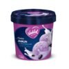 VADILAL JAMUN ICECREAM 1L, topdesimart, top desi mart