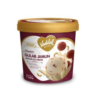 VADILAL GULAB JAMUN ICECREAM 1L, topdesimart, top desi mart