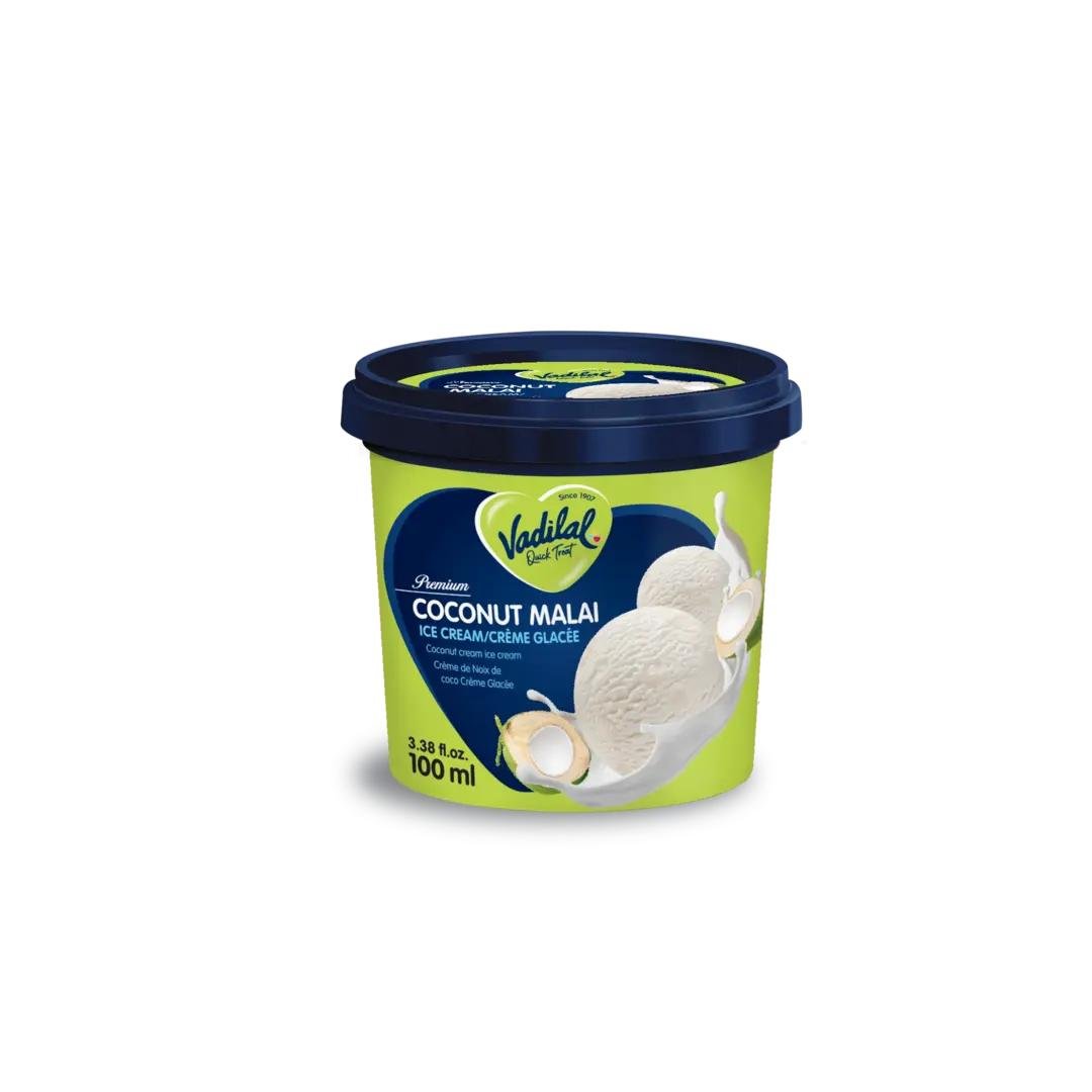 VADILAL COCONUT MALAI 100ML, topdesimart, top desi mart