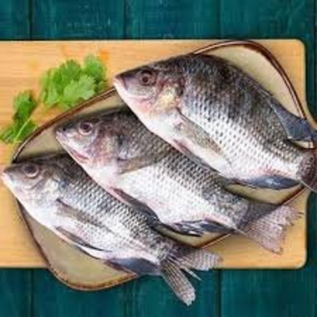 MARINE FRESH TILAPIA 2LB, topdesimart, top desi mart
