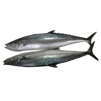 KING MACKEREL FISH 2LB, topdesimart, top desi mart