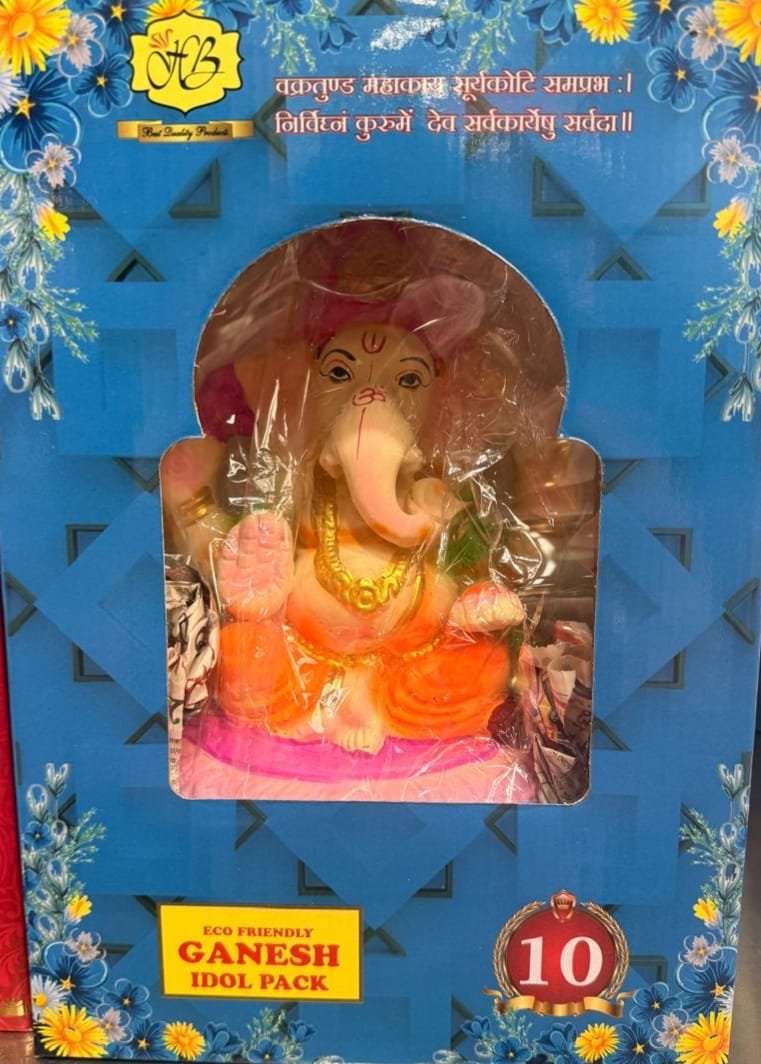 GANESH IDOL (MULTI COLOUR) 10 INCH