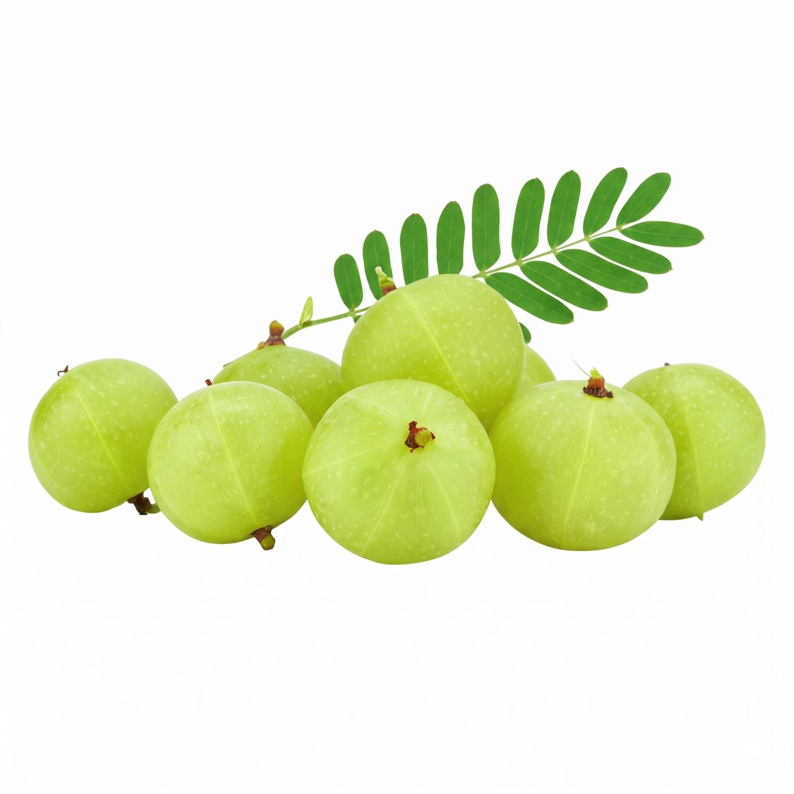 Fresh green amla fruits with a leafy sprig
